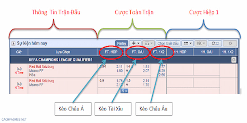 Kết nối CSKH của trang web khi muốn cập nhật tỷ lệ kèo